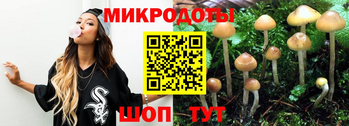 Копейск  дарнет шоп  Вход с VPN  Псилоцибиновые грибы прущие грибы 
